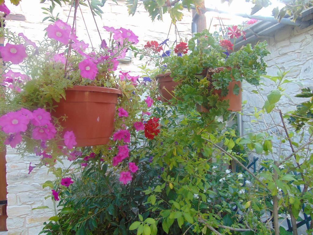 Charalambos Holiday Cottage Kalavasos Extérieur photo