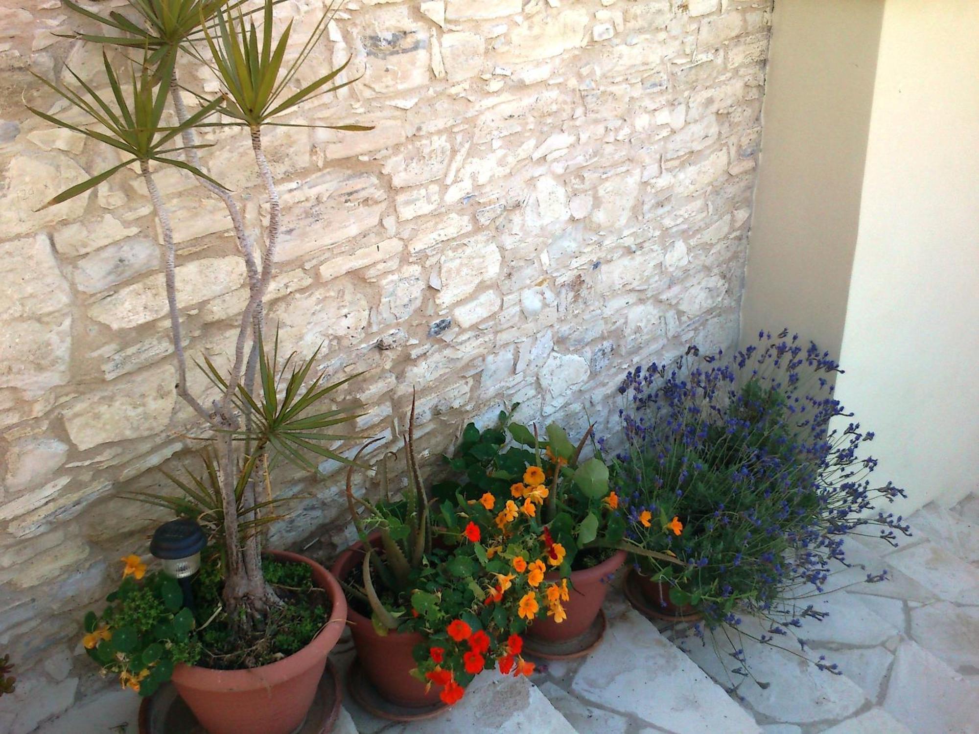 Charalambos Holiday Cottage Kalavasos Extérieur photo